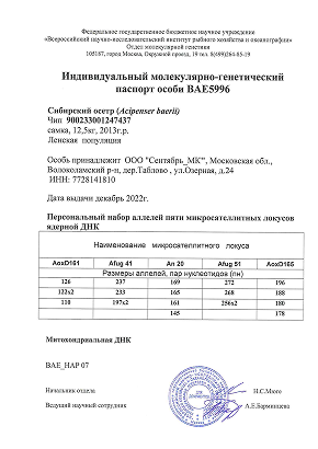 Фото генпаспорта